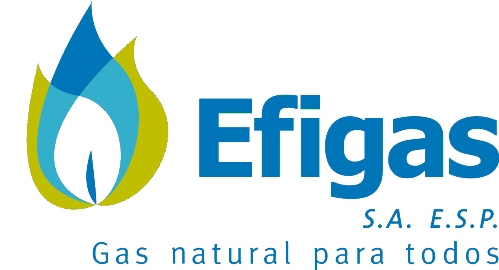 Logo Efigas
